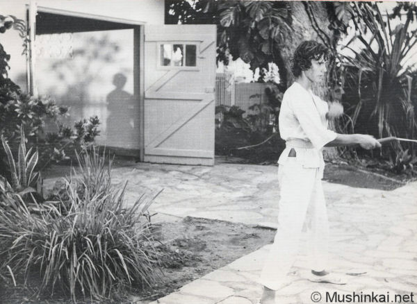 Nunchaku (1975)